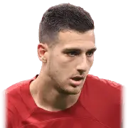 Diogo Dalot