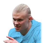 Erling Haaland