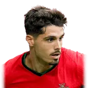 Pedro Neto