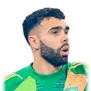 David Raya