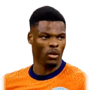 Denzel Dumfries
