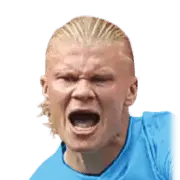 Erling Haaland