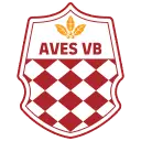 AVS Futebol